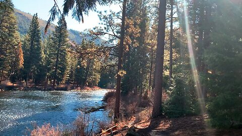 Rustic Wild River Wonderland Hiking Exploring East Metolius Trail! | Deschutes NF | Central Oregon