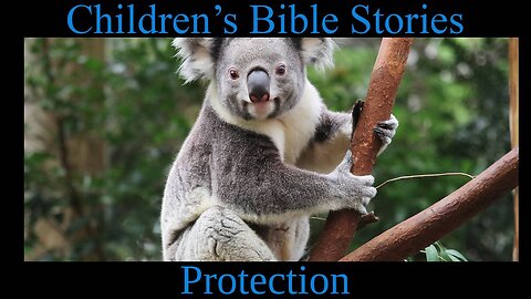 Children's Bible Stories-Protection