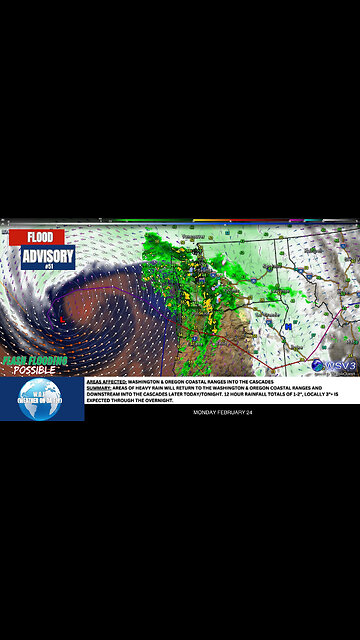 🌩️ Flash Flood Outlook: 3 Inches Rain Overnight! 2/24/25 #shorts #weather #floodrisk