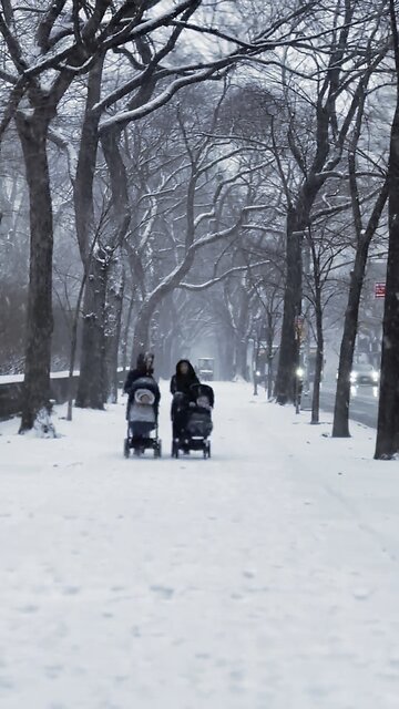 SNOWFALL IN MANHATTAN NYC