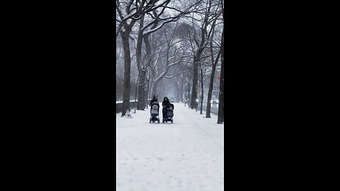 SNOWFALL IN MANHATTAN NYC