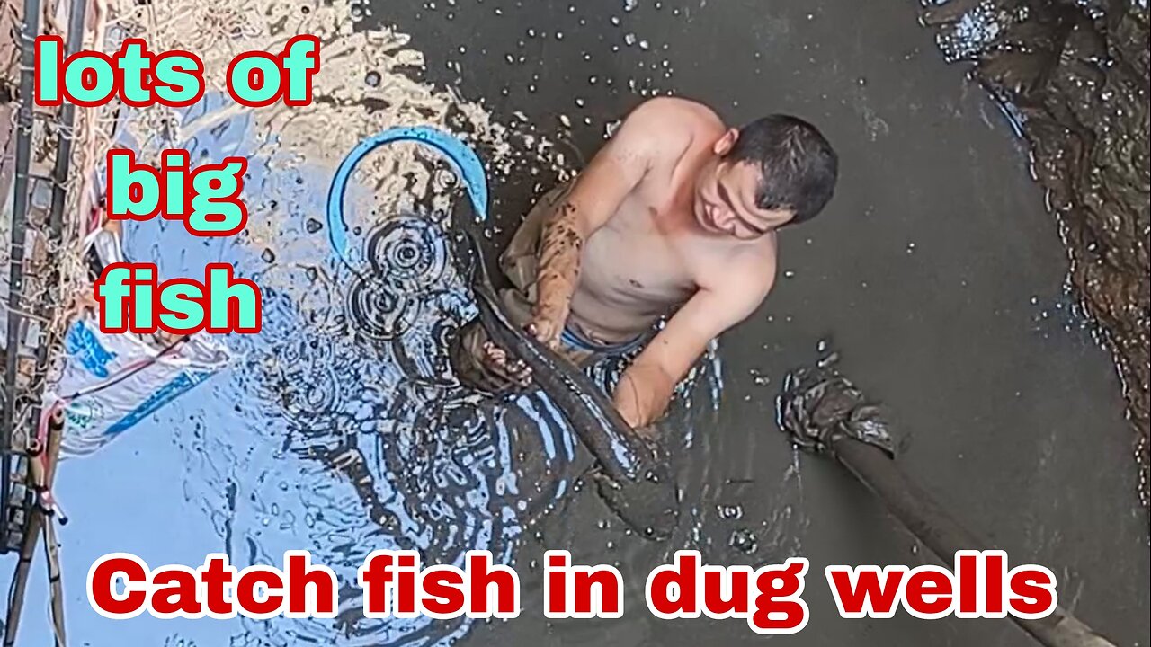 Catching fish in the dug well has a lot of big fish