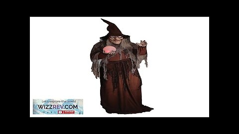 Soothsayer Witch Animated Digiteye Halloween Decoration Review