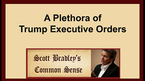 A Plethora of Trump Executive Orders