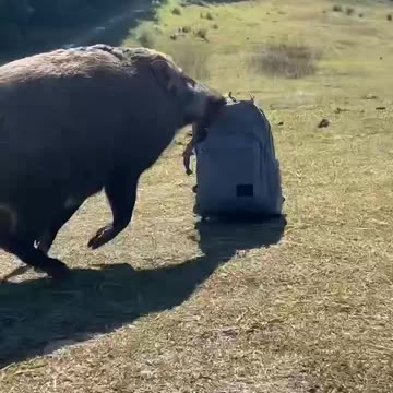 When you are forced into playing 🤣