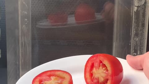 What happend with the Tomato it's INSANE!!😱😱😱