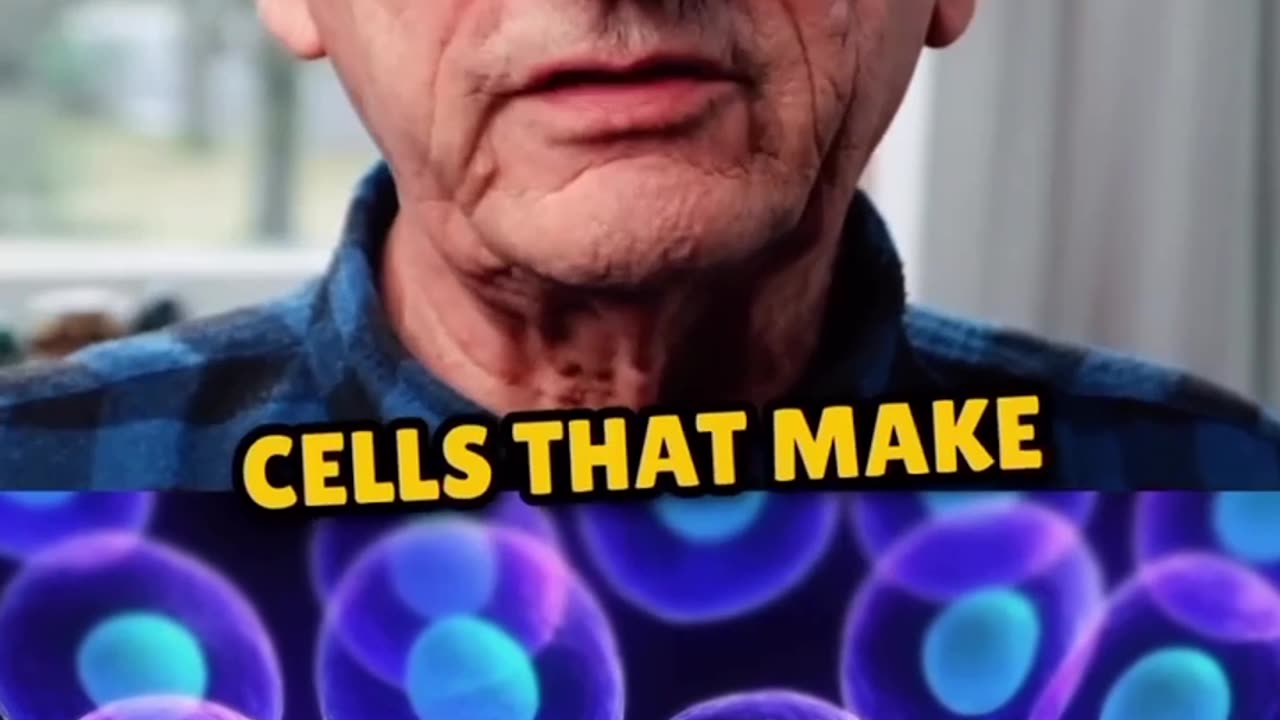 You are the universe