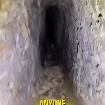 Girl’s_been_digging_dungeons_for_20_years