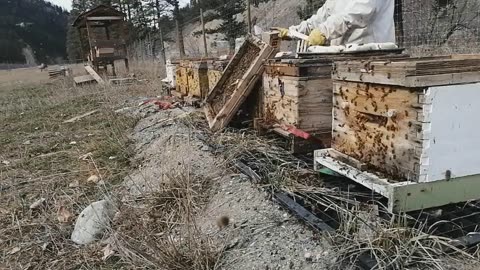 small scale winter bee house- holds about 25 colonies