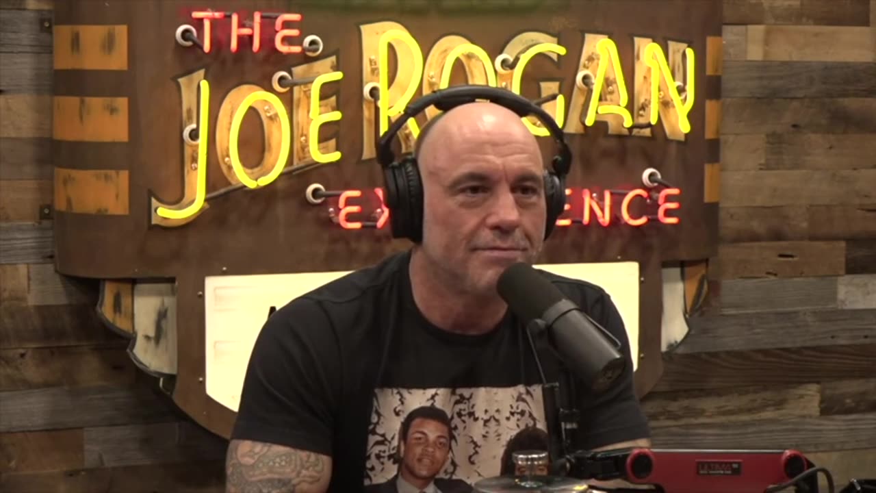 DOGE's Findings, Elon Musk Protests, and Medicare Fraud - Joe Rogan, Bridget Phetasy