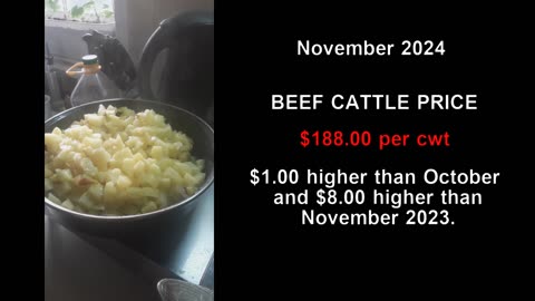 Average Cost of Hog and Beef Cattle in the USA