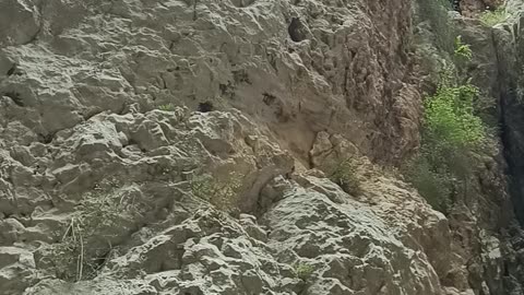 تفریح رفتن به چقور تنگی جای زیبا ودیدنی