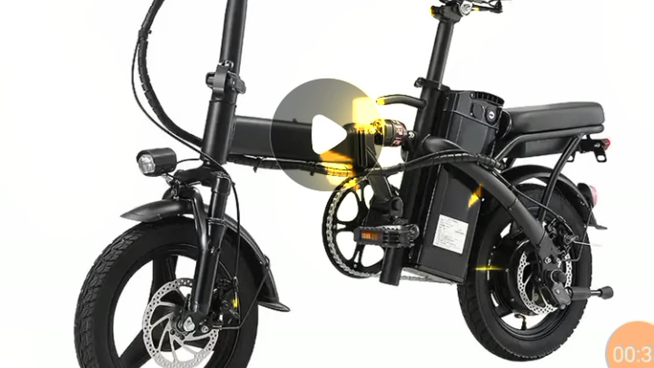 Folding Electric Bike