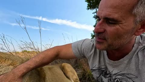LION Knocks Me to the Ground