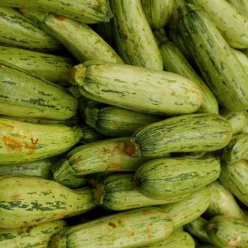 Zucchini –Facts! #shorts #gardening #diet