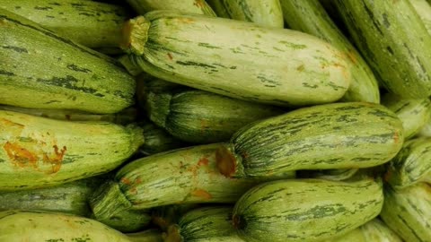 Zucchini –Facts! #shorts #gardening #diet