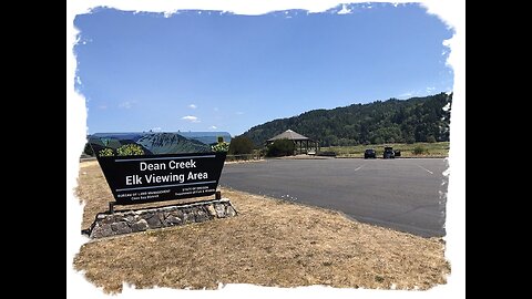 Fall of 2024, Dean Creek Elk View just outside of Reedsport, Oregon...