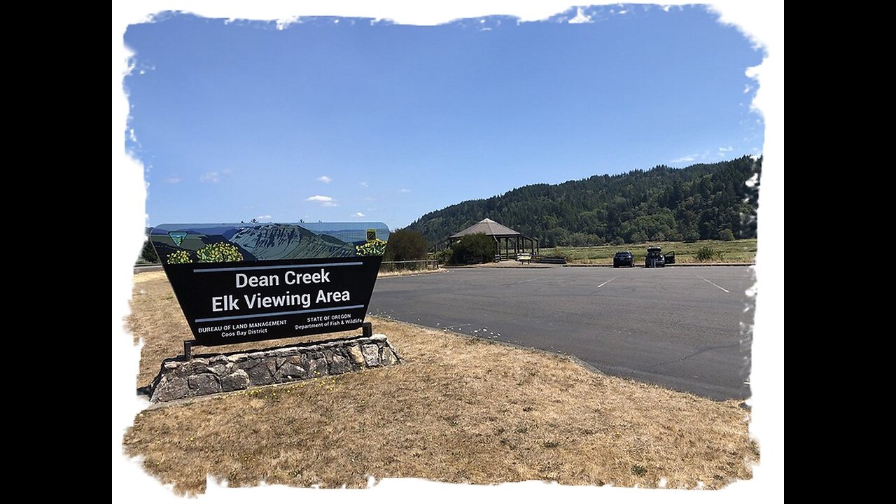 Fall of 2024, Dean Creek Elk View just outside of Reedsport, Oregon...