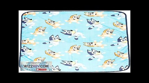 Jay Franco Bluey and Bingo 40 x 50 Inch Plush Travel Throw Review