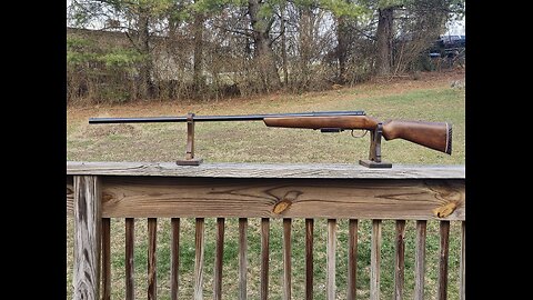 Marlin Model 55 (12 Gauge) Goose Gun