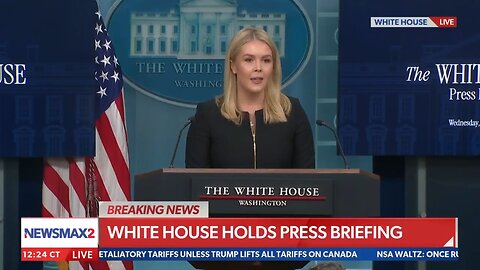 Karoline Leavitt to reporter: Tariffs are not up to you, you're not the President