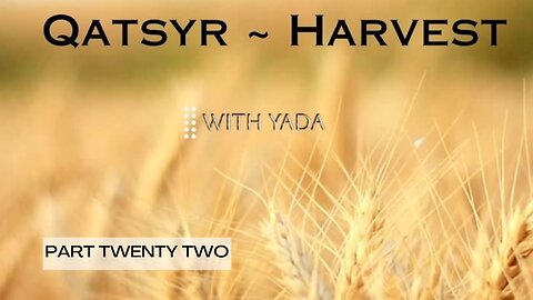 Qatsyr ~ Harvest Part Twenty Two 26 February 2025