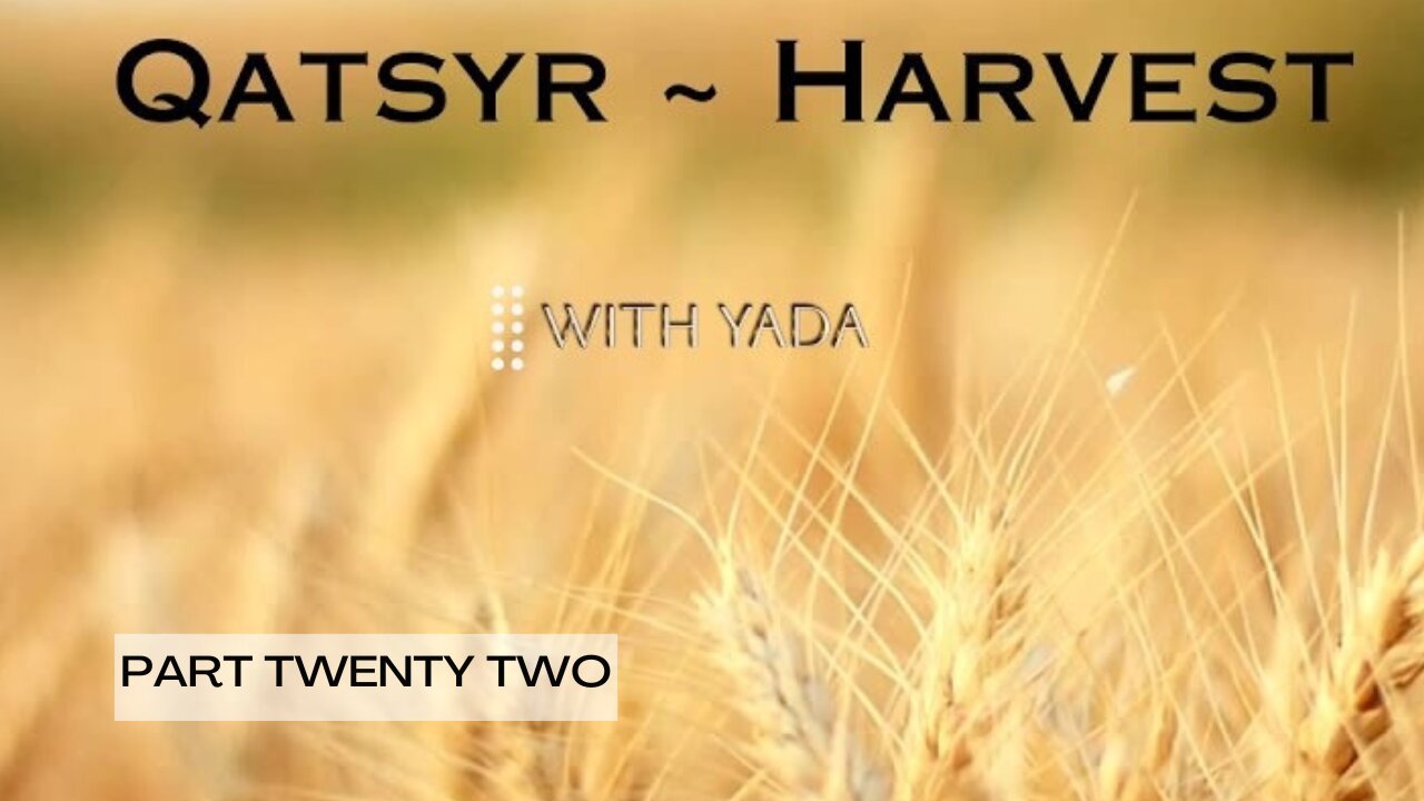 Qatsyr ~ Harvest Part Twenty Two 26 February 2025