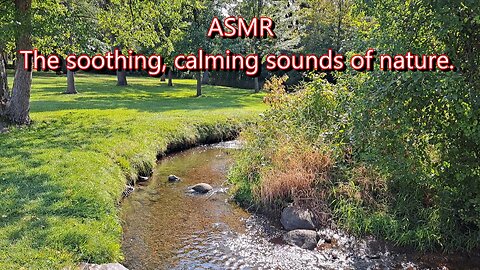 ASMR: The SOOTHING, CALMING sounds of nature.