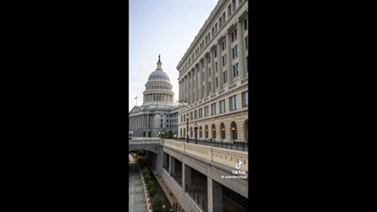 Elon 2.0 and NGOs ..