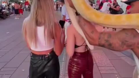 🐍🐍🐍