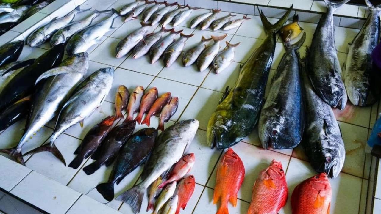 Kurumba Island