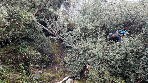 Hanging out in a forest in Huaraz