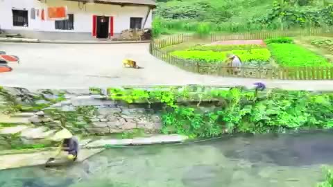 Tranquil Life in a Charming Rural Village 😍❤️