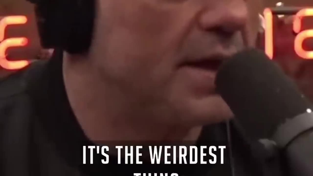 The Rat Temple of India - Joe Rogan