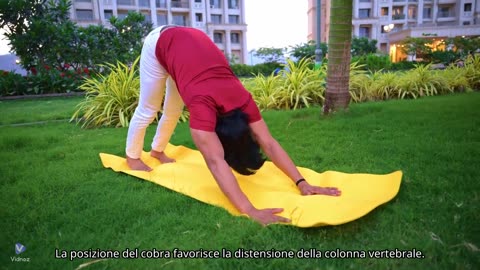 Yoga basic italiano