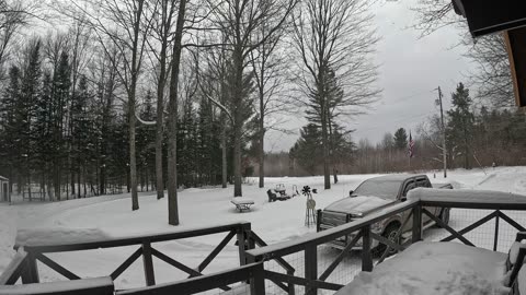 Lazy Snow Day In Michigan, End Of February