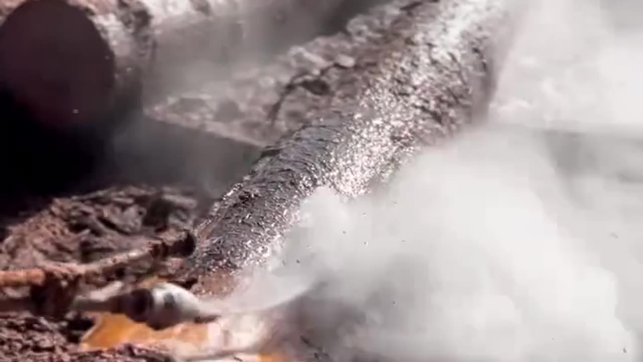 "Pressure Washer Peeling Bark Off the Trunk!"