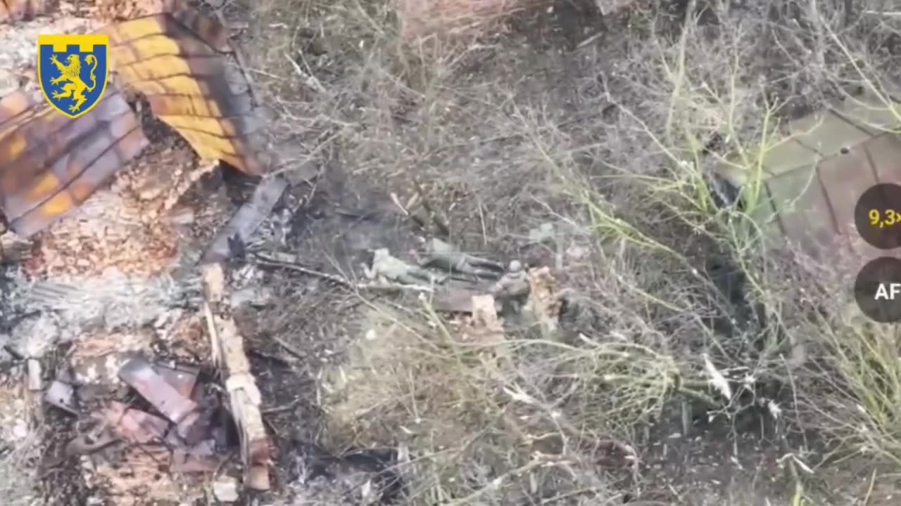 ✊😎AFU capture eight Russian soldiers in Basivka, Sumy region
