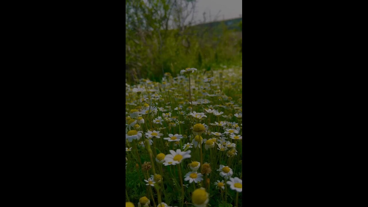 #القرآن_الكريم