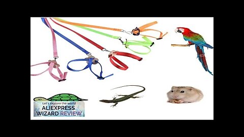 Adjustable Pet Parrot Traction Strap Anti-bite Training Rope Outdoor Rope Hamster Turtle Review