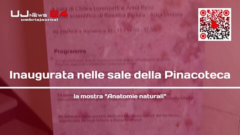 Inaugurata nelle sale della Pinacoteca la mostra “Anatomie naturali”