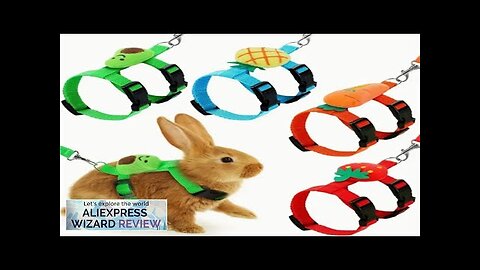 Hamster Rabbit Small Pets Chest Strap Outdoor Traction Rope Adjustable Harness Leash Review