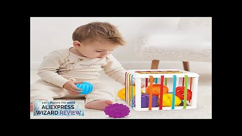 Montessori Toys Children 0-12 Months Early Education Rainbow Cesare Enlightening Review