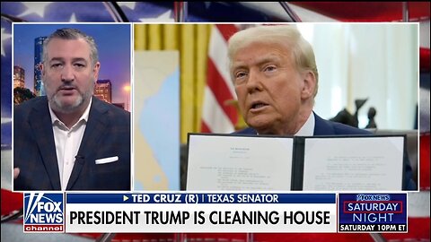 Sen Ted Cruz: Trump's First 3 Weeks Have Been Shock and Awe