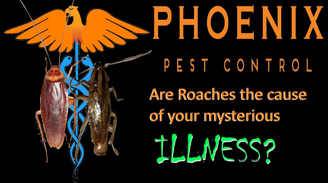 Are Roaches the Hidden Cause of Your Mysterious Illness?