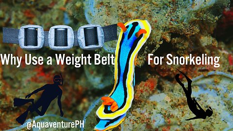 Why Use a Weight Belt for Snorkeling?