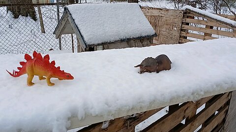 Happy together, in all types of weather