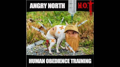 Human Obedience Training - A song by Angry North & Boris's Bitches