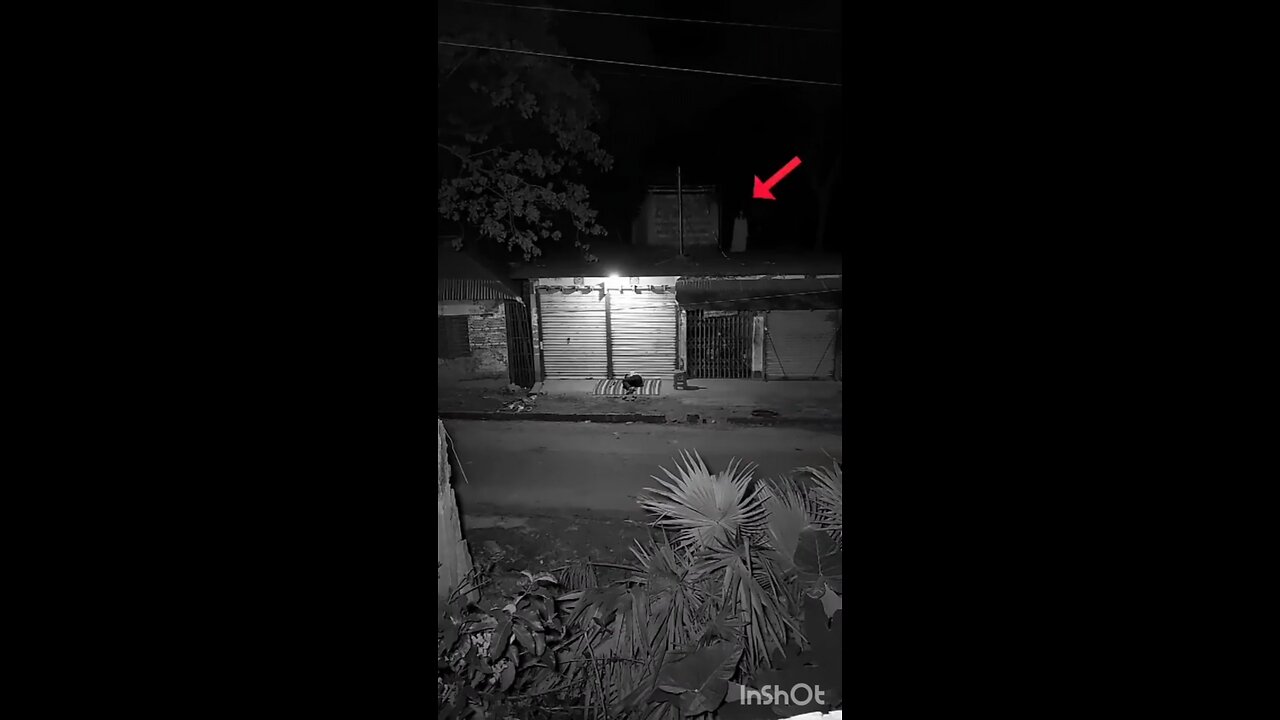 Real Ghost Videos Live