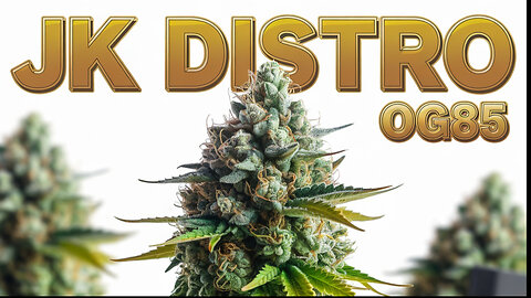 JK DISTRO | OG85 Review: The Strain That’s So Fire, It Should Come with a Fire Extinguisher 🔥🚒